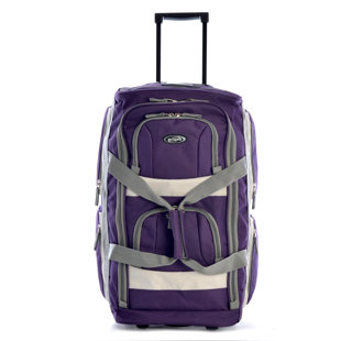 wayfair luggage