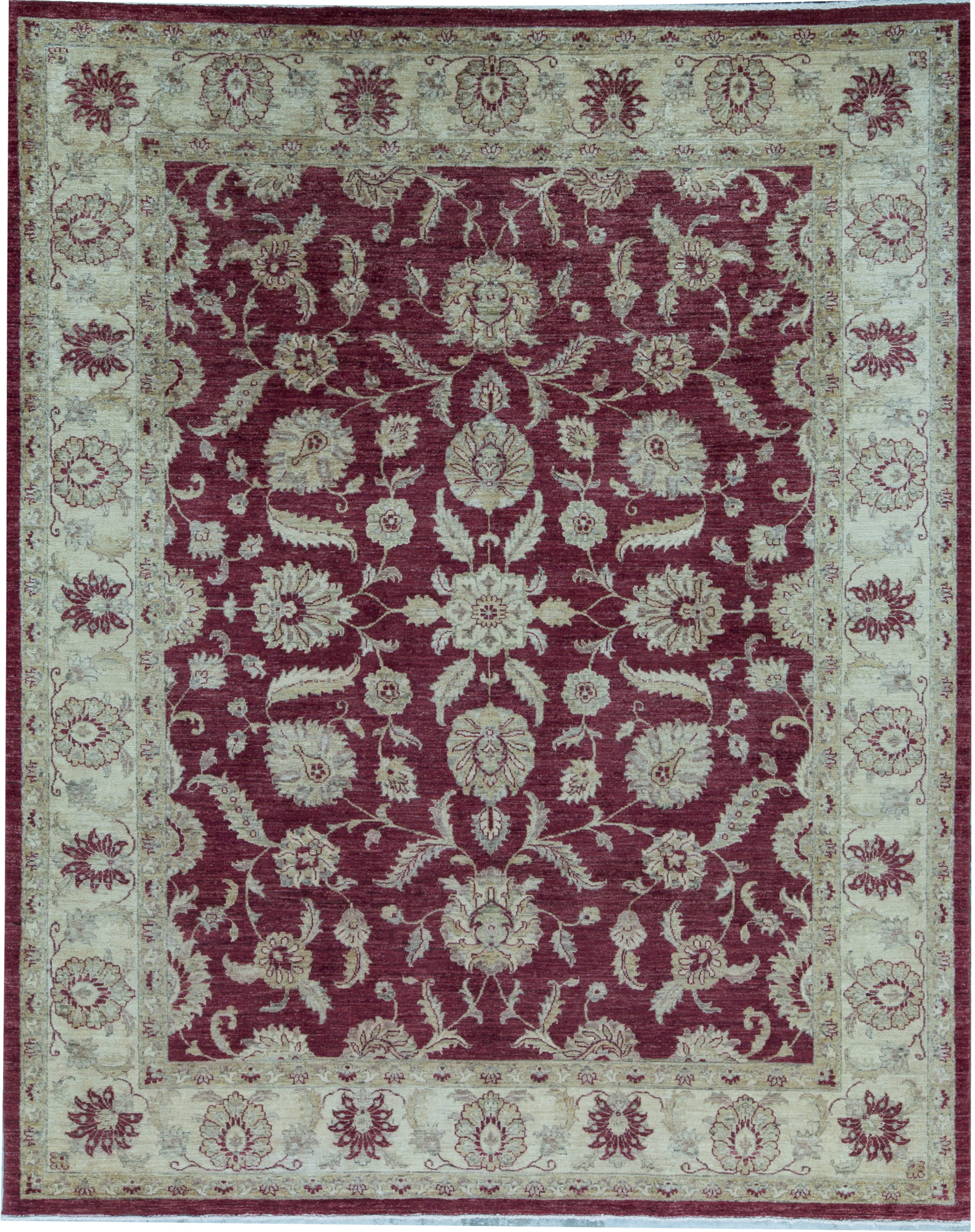 Bokara Rug Co Inc Ziegler Oriental Hand Knotted Wool Red Cream Area Rug Wayfair
