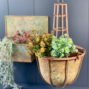 Sizemore Metal Wall Planter By Brambly Cottage