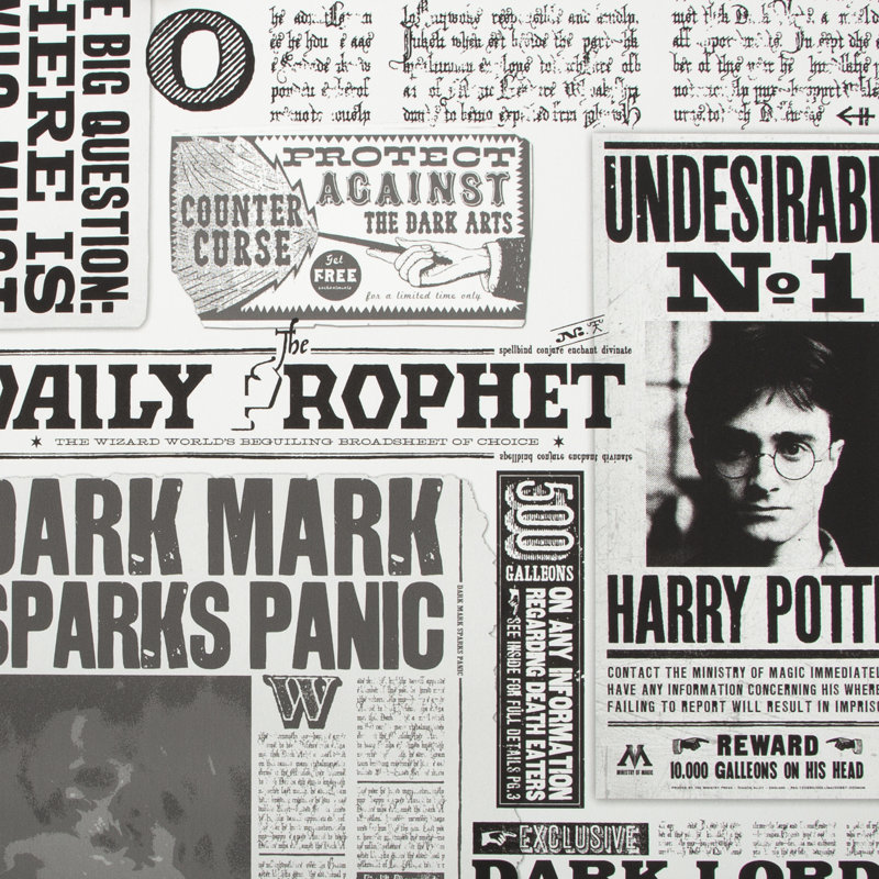 Harry Potter Warner Bros Daily Profit 1000cm x 52cm Matte ...