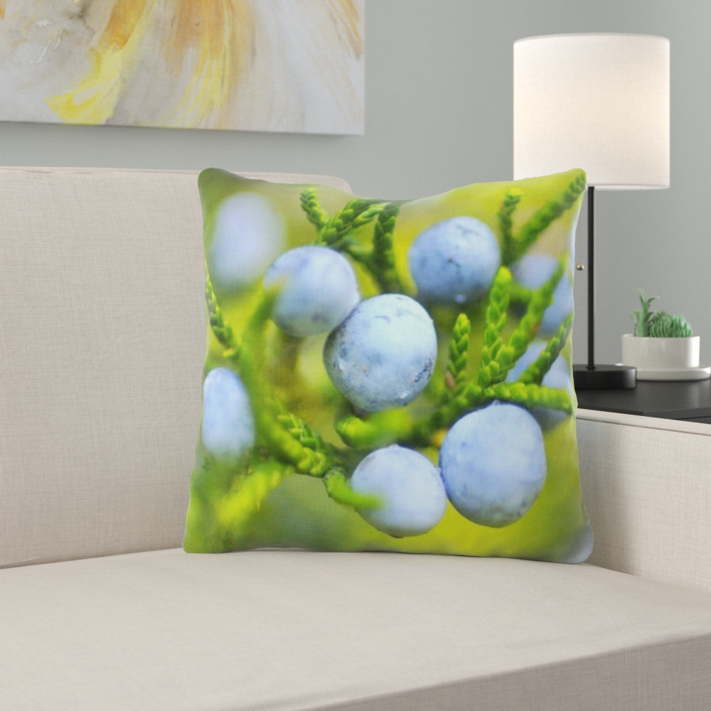 berry throw pillow