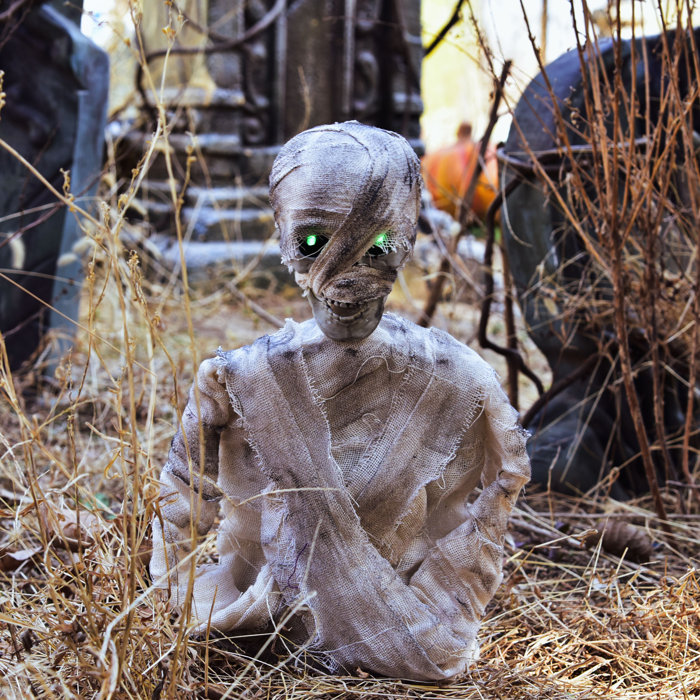 The Holiday Aisle® Halloween Mummy Wayfair The Holiday Aisle® Halloween Mummy Wayfair