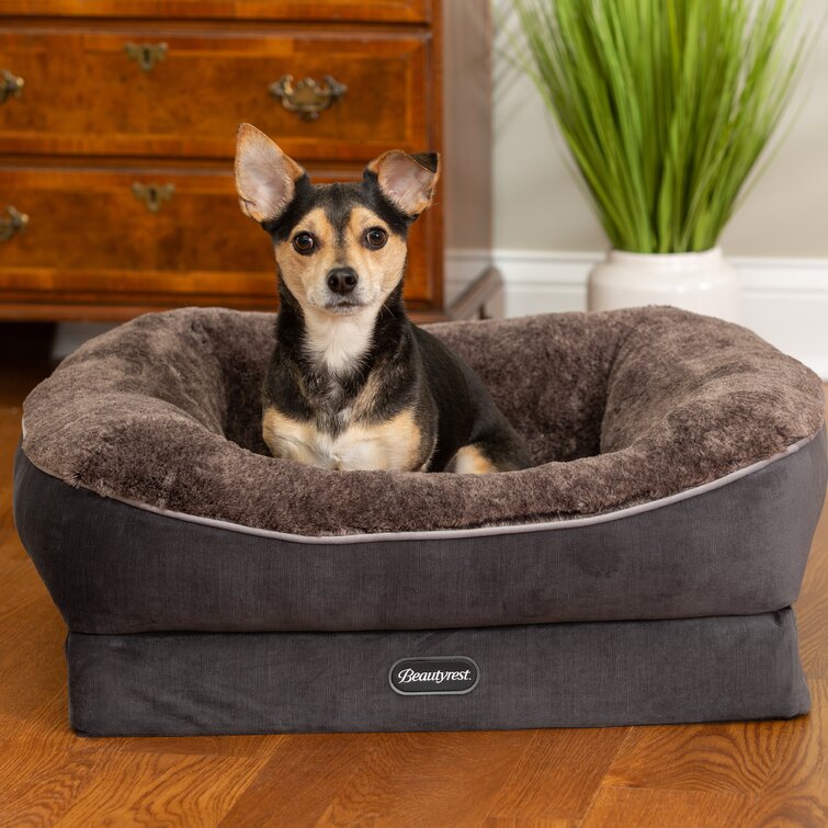 Beautyrest Ultra Plush Cuddler Pet Bed & Reviews | Wayfair