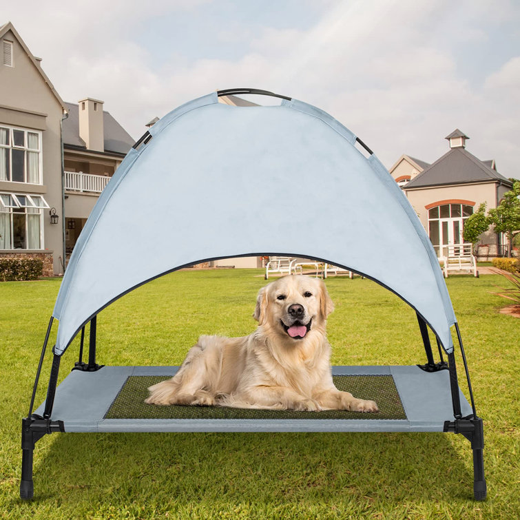 large dog bed with canopy