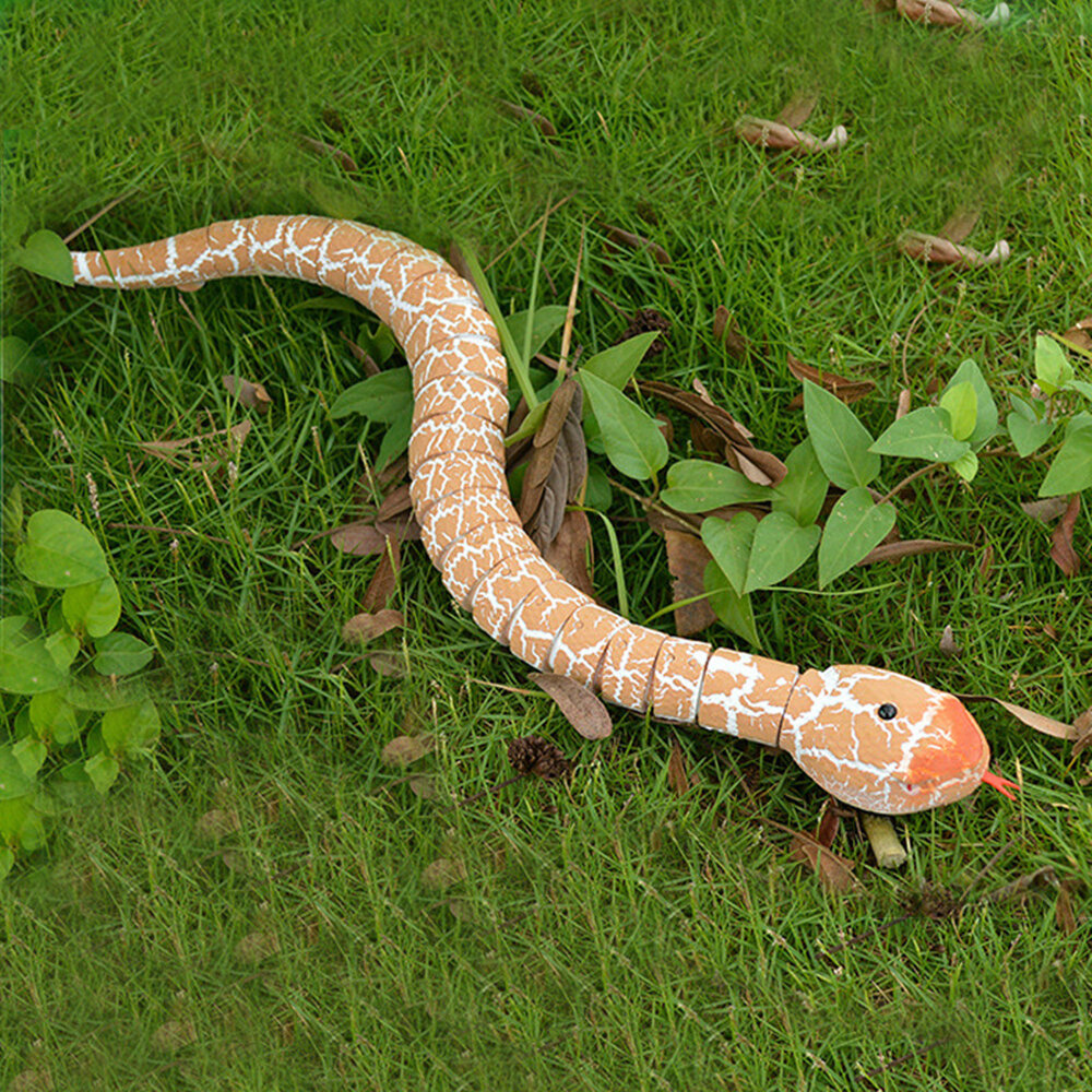 snake remote control car