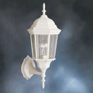 Allmon 1-Light Outdoor Wall Lantern