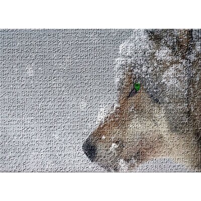 Wolf in a Snow Gray Area Rug East Urban Home Rug Size: Rectangle 5' x 7'