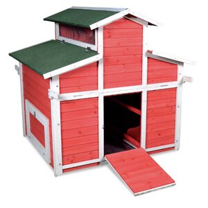 Little Hen Big Chicken Coop