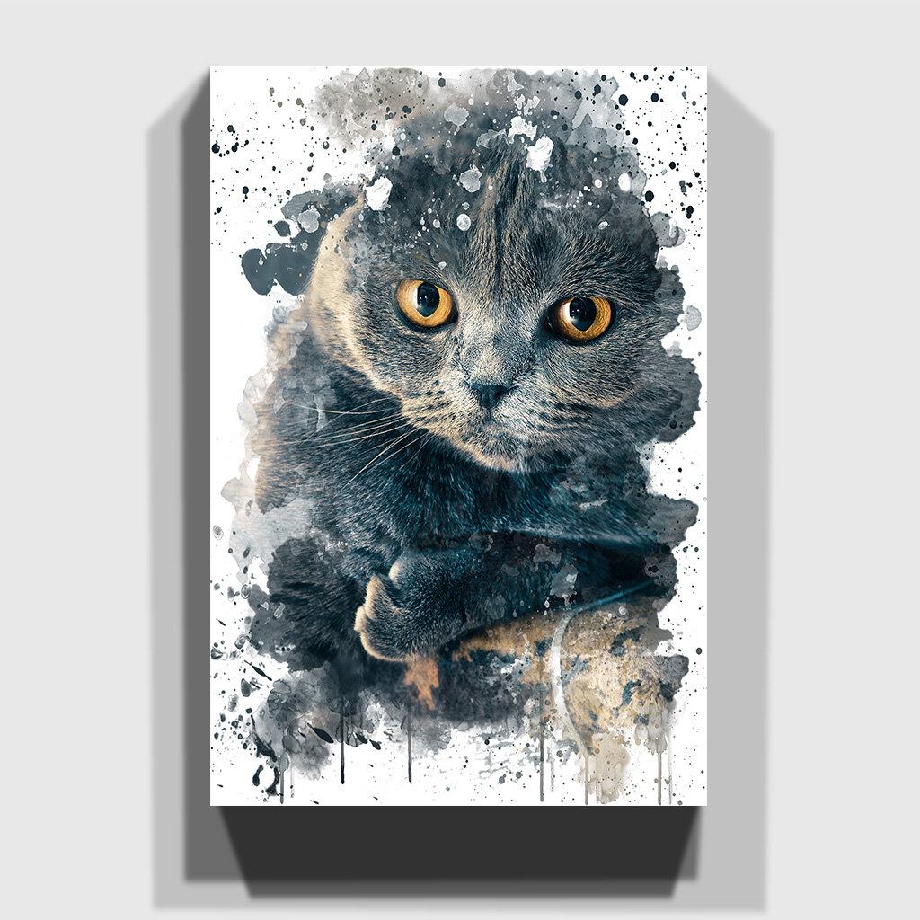East Urban Home Scottish Fold Cat Graphic Art Print Wayfair Co Uk