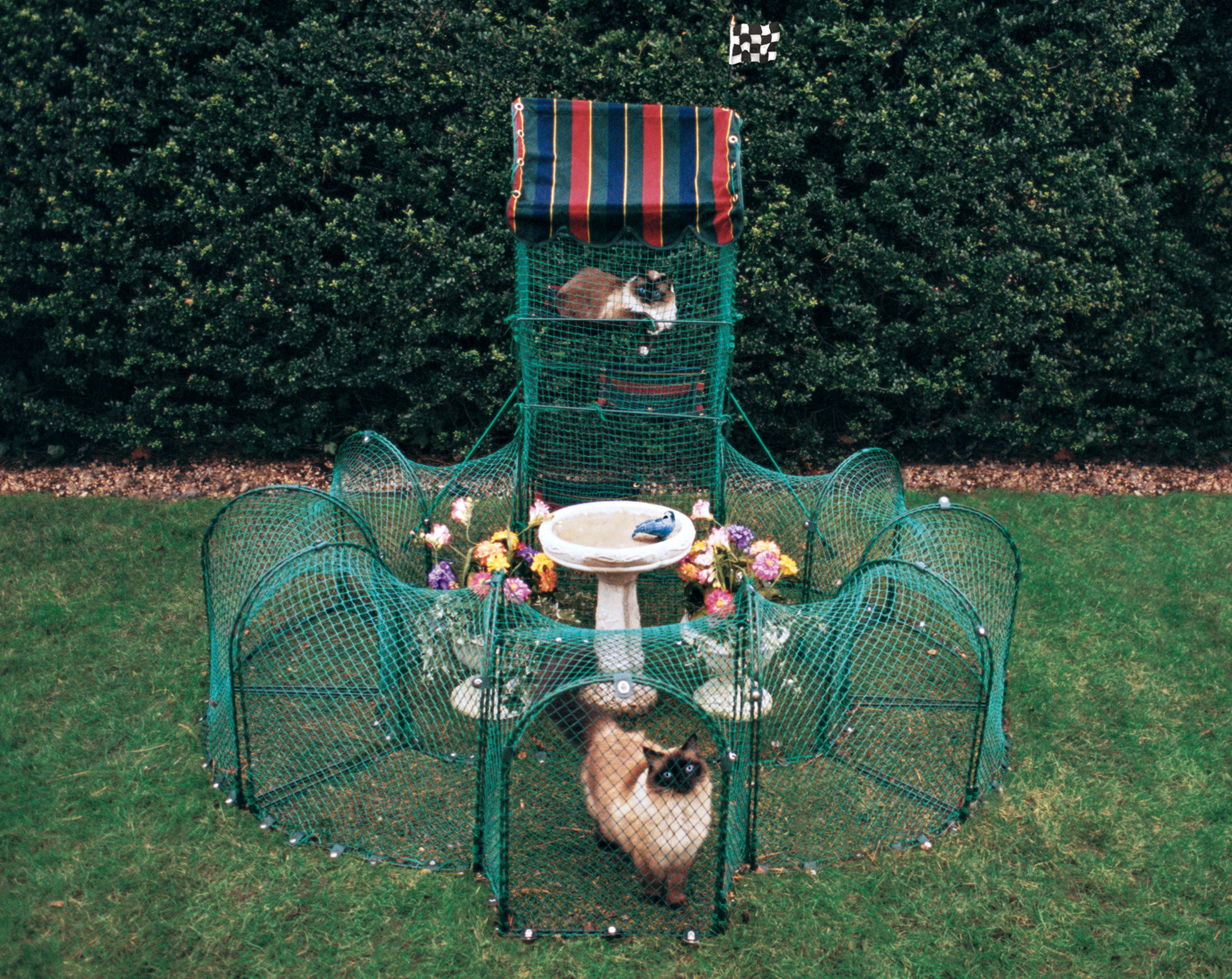 Kittywalk Systems Grand Prix Portable Outdoor Playpen with Door Wayfair