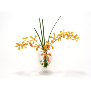 Yellow/Orange Vanda Orchid and Grass in Glass Urn