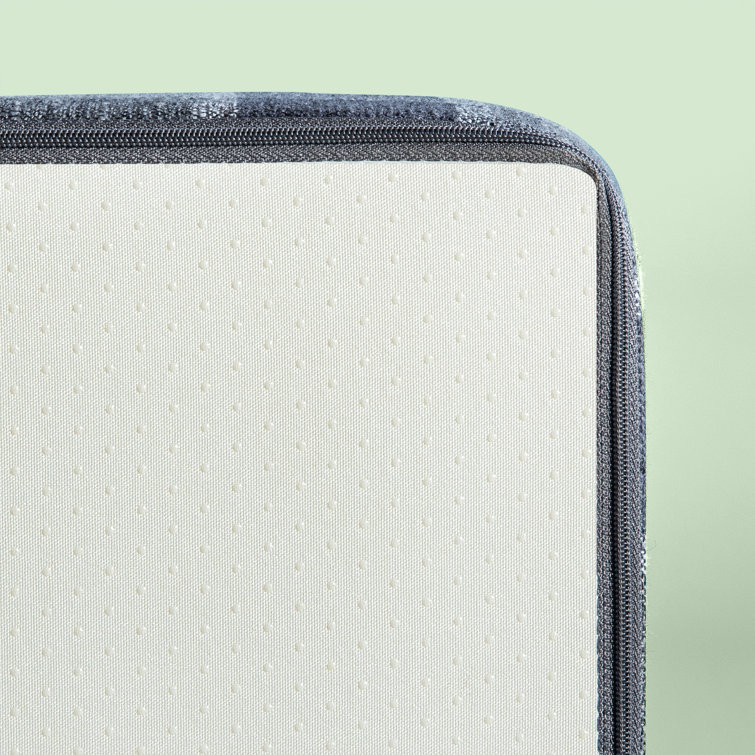 zinus 2 step pet stairs