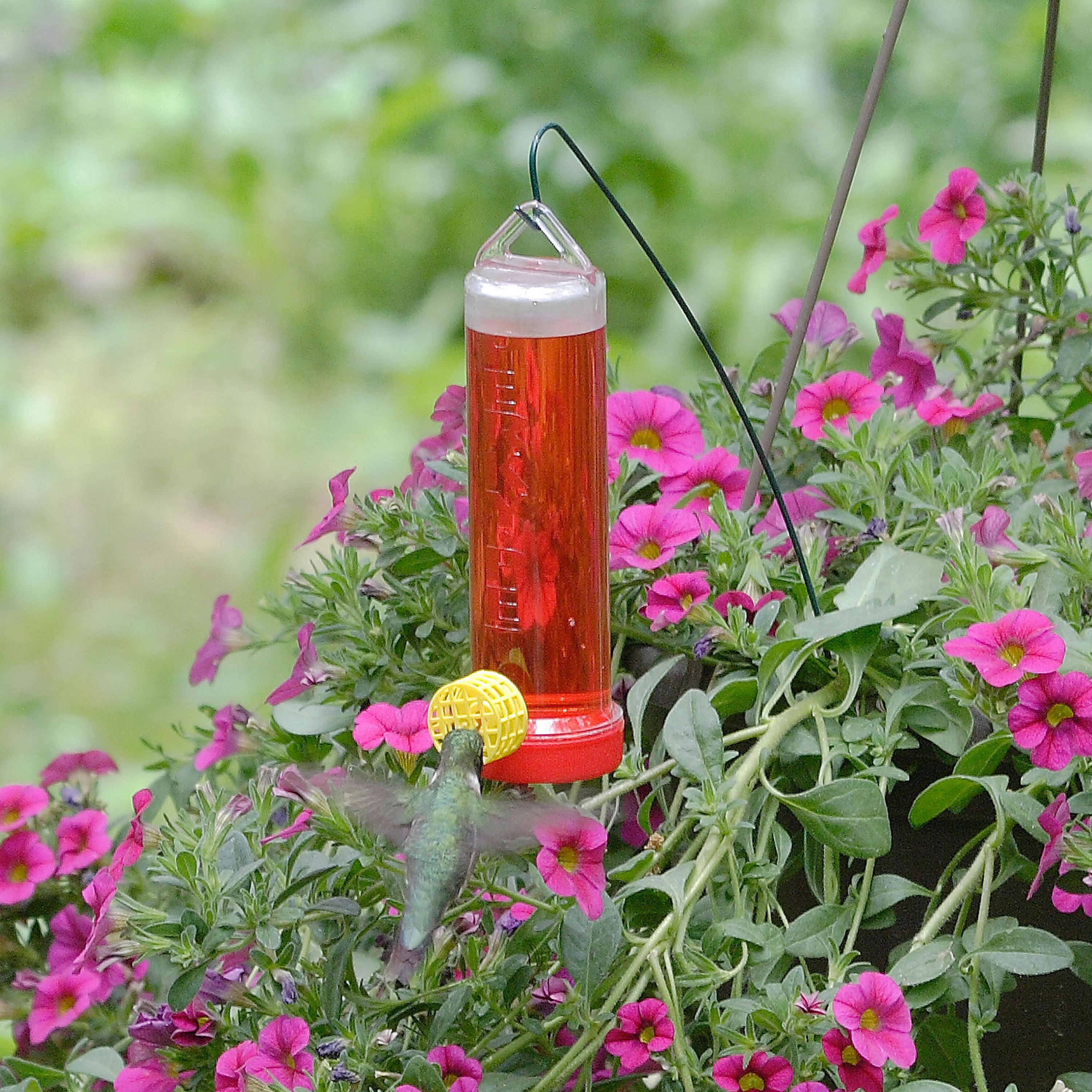 Perky Pet Planter Box Hummingbird Feeder Reviews Wayfair