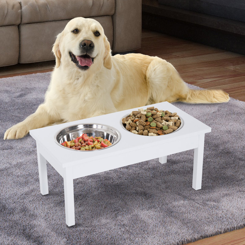 retriever feeding station