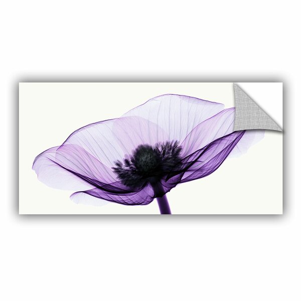 Wrought Studio Anemone Ii Graphic Art Reviews Wayfair