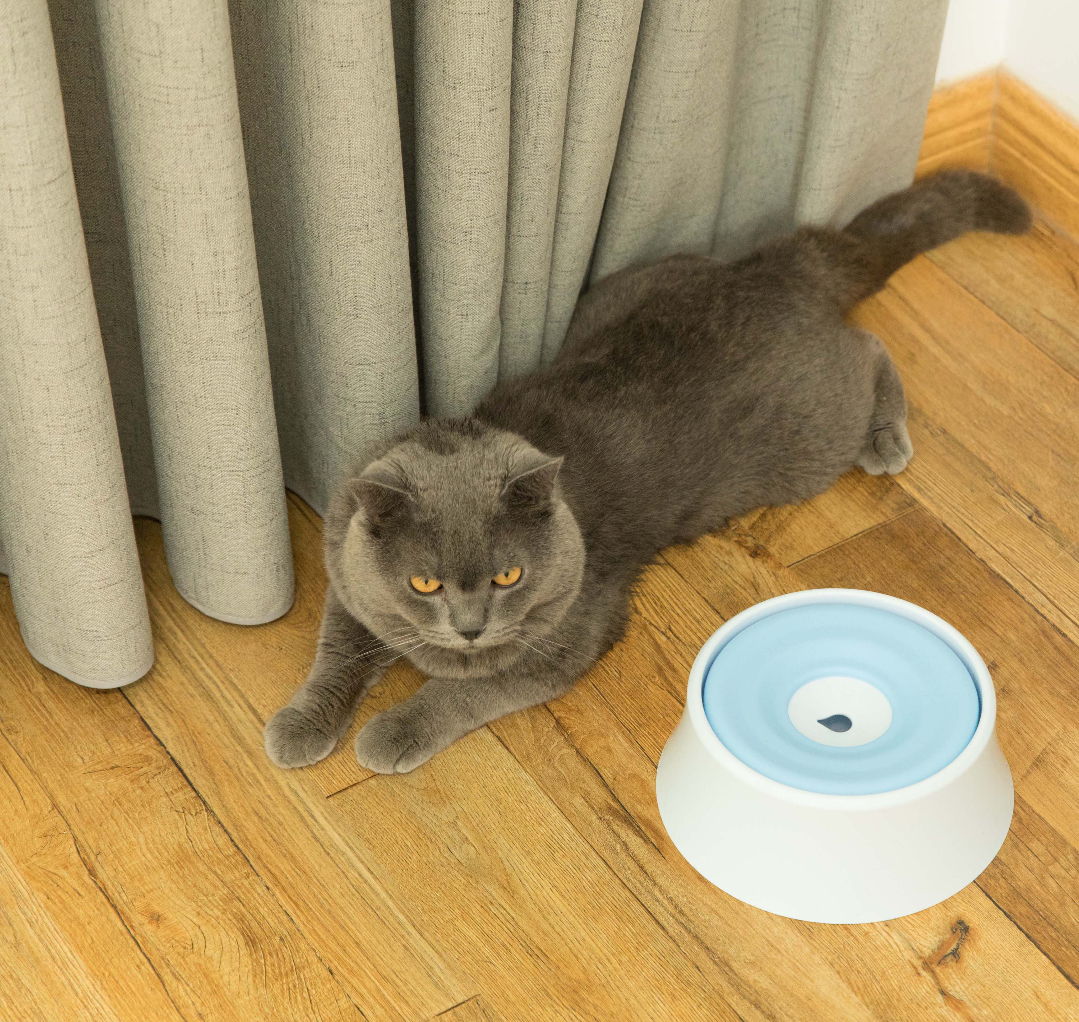 prestige pet automatic feeder