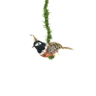 Lot Of 6 Glittered Tropical Parrot Feather Bird Ornaments 4 6 5 Ornaments Home Garden