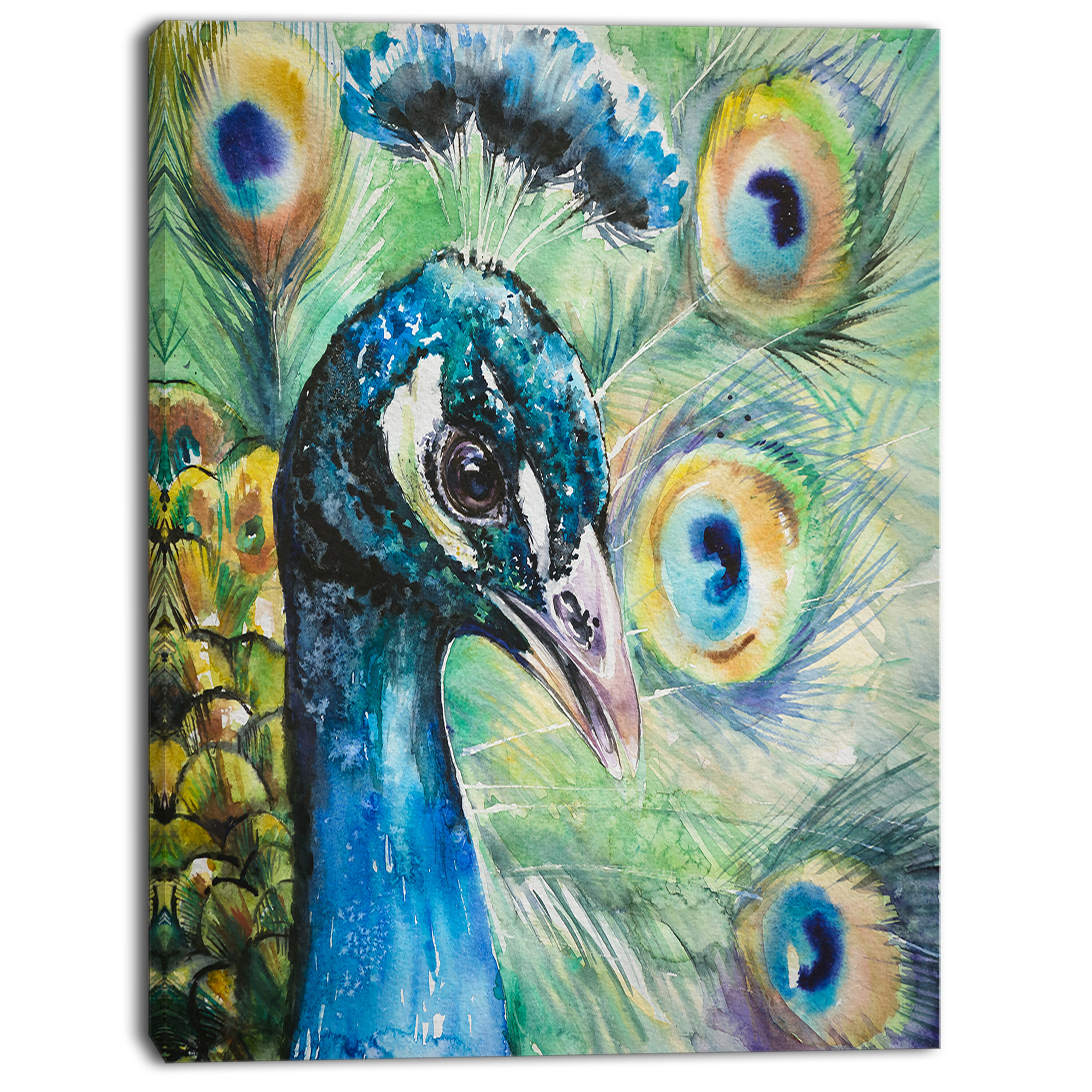 Large Modern Contemporary Canvas Wall Art Print Painting Animal Peacock Peafowl 