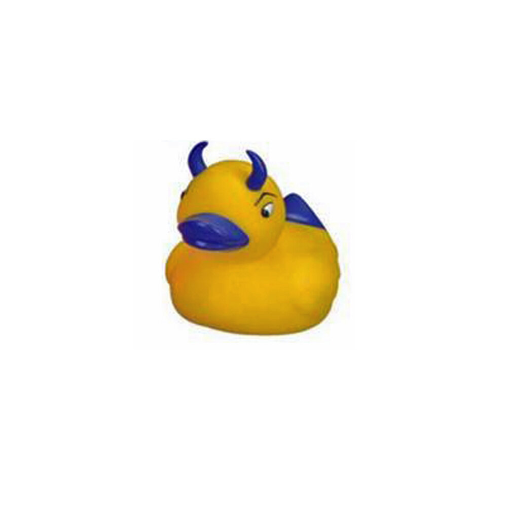 floating duck toy