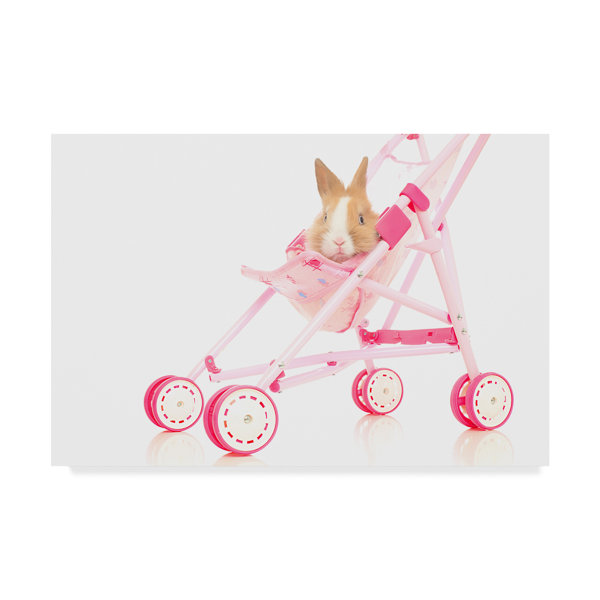 bunny in stroller