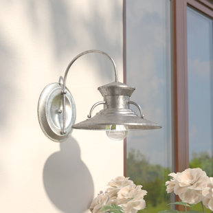 Go to store & view more images Oriana 1-Light Barn Light by Trent Austin Design