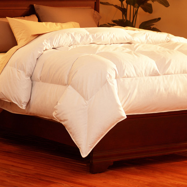 Pacific Coast Feather Midweight All Season Down Comforter