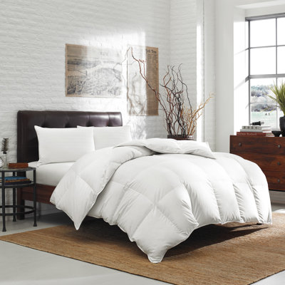 Eddie Bauer All-Season 600 Fill Power Oversized White Down Comforter - 400 TC