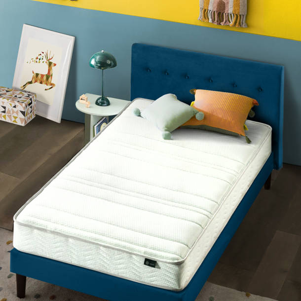 Alwyn Home Cotton Futon Mattress & Reviews | Wayfair