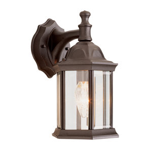 Elburn 1-Light Outdoor Wall Lantern