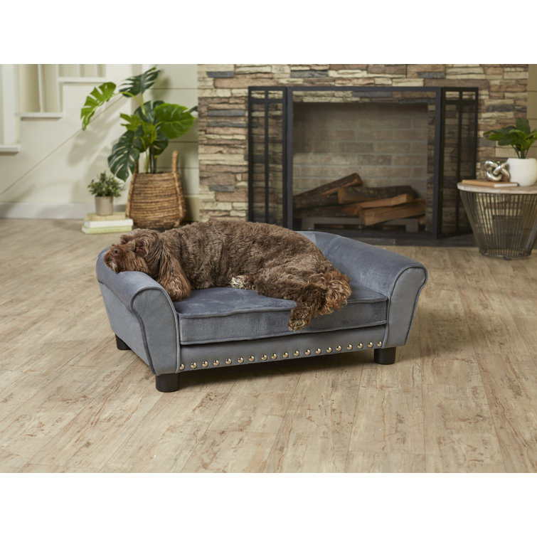 wayfair dog sofa