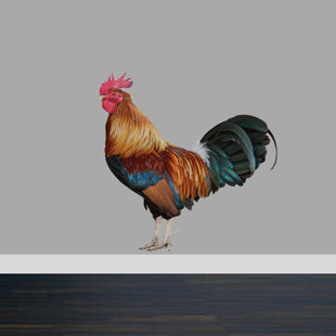 Rooster Decals Wayfair