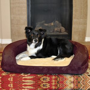 Deluxe Ortho Sleeper Bolster Dog Bed