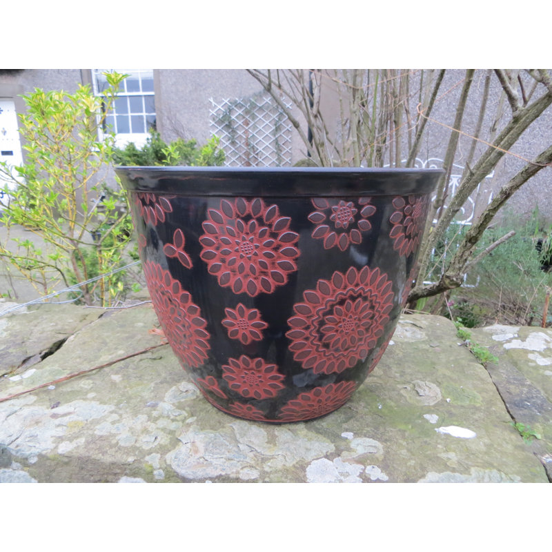 World Menagerie Corsair Plastic Plant Pot &amp; Reviews