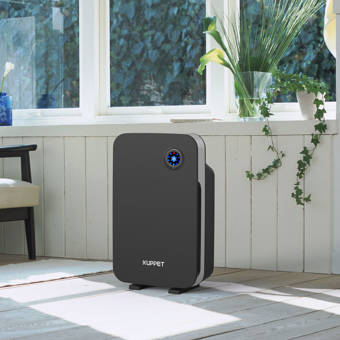 air purifier for dust and pet hair