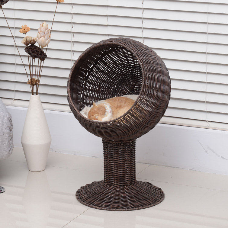 cat wicker bed