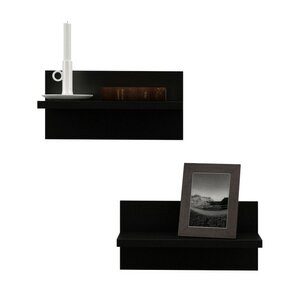 Elma Wall Shelf (Set of 2)