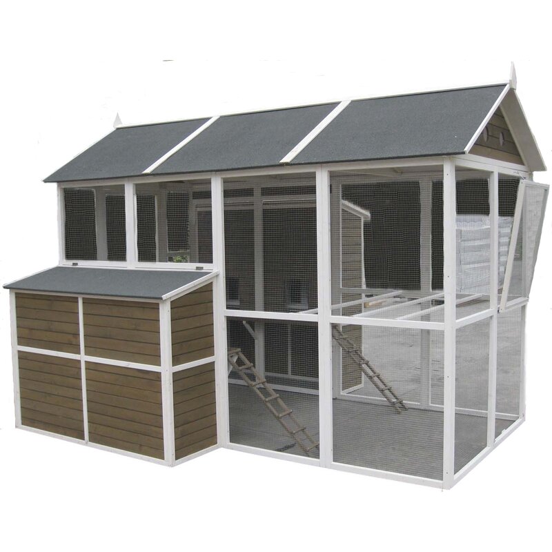 Coops Feathers Chicken Coop With Chicken Run