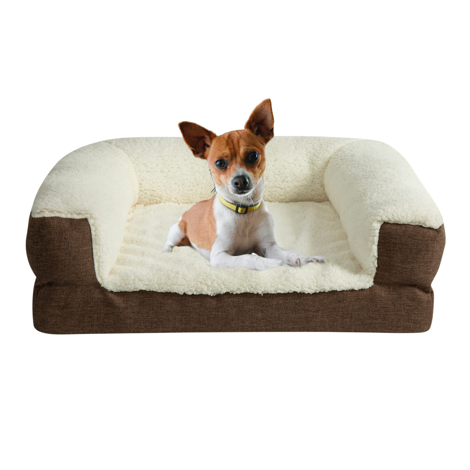 dog bed