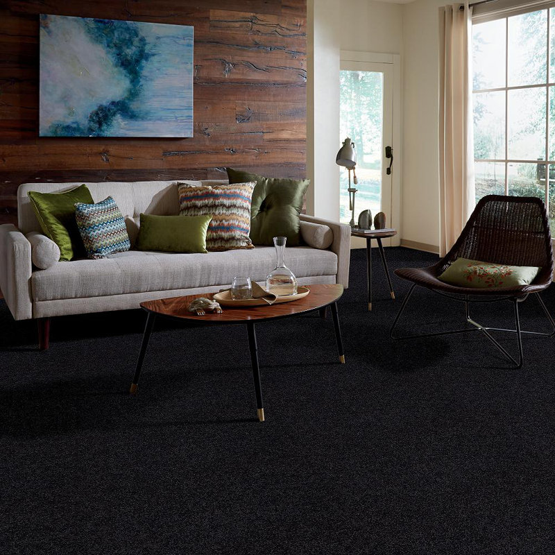 Shaw Floors Plume Perfect 24 X 24 Plush Cut Carpet Tile
