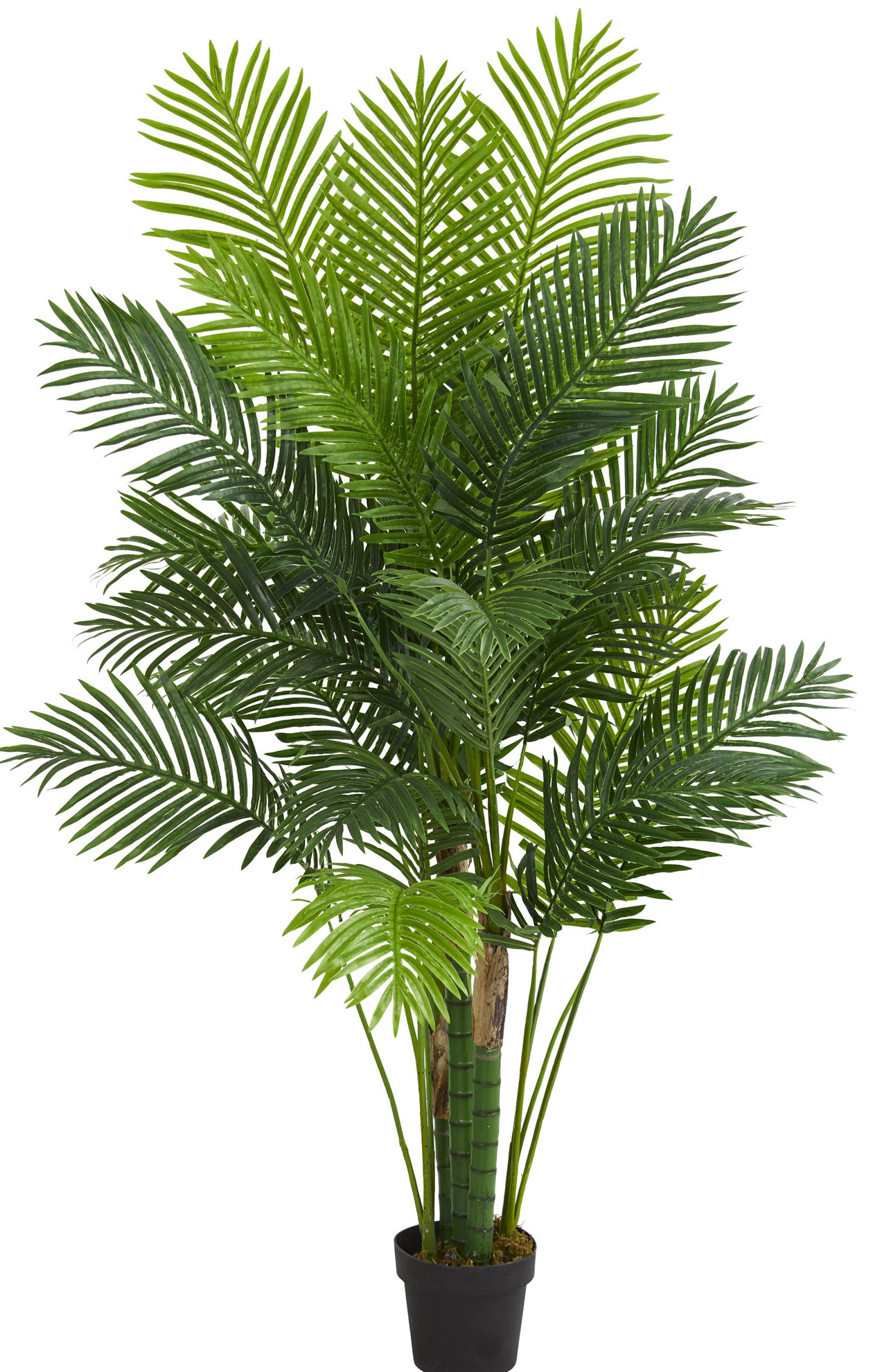 wayfair standing planter on Bay Isle Home 63 5 Artificial Palm Tree In Planter Reviews Wayfair