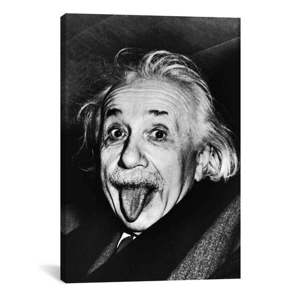 Albert Einstein Canvas Wayfair