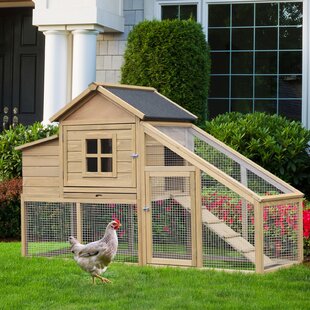 Small Chicken Coops Youll Love In 2019 Wayfair