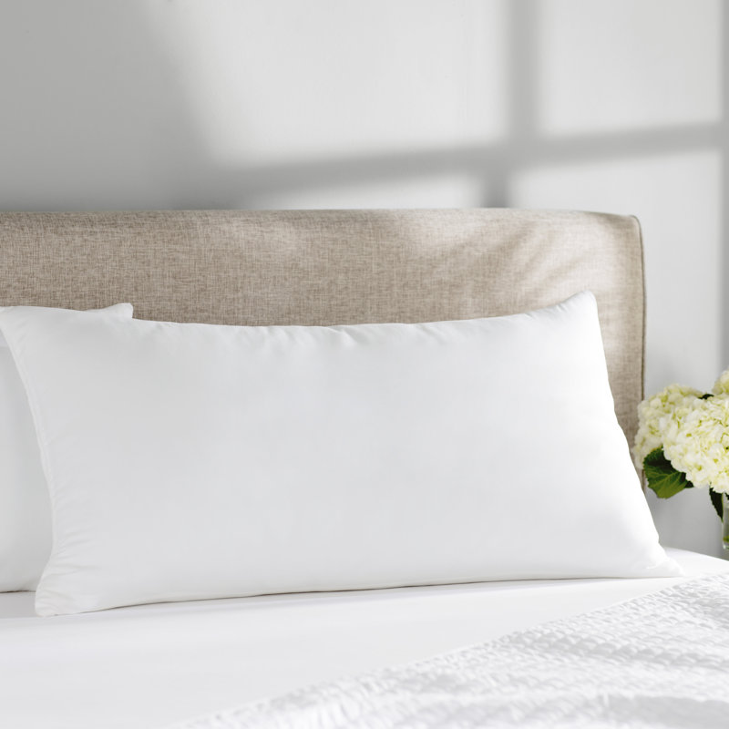 Wayfair Basics Medium Cooling Foam Pillow Reviews Wayfair