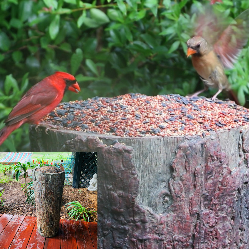 Bushy Box Natures Feast Decorative Bird Feeder Wayfair Mounted bird feeders are ideal because you never have to worry about them being knocked out of a tree, falling off of the pole, or. natures feast decorative bird feeder