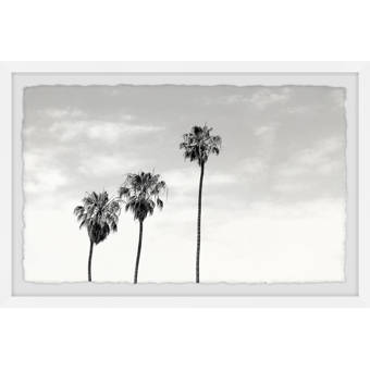 East Urban Home Black Palm Leaves Picture Frame Print On Paper