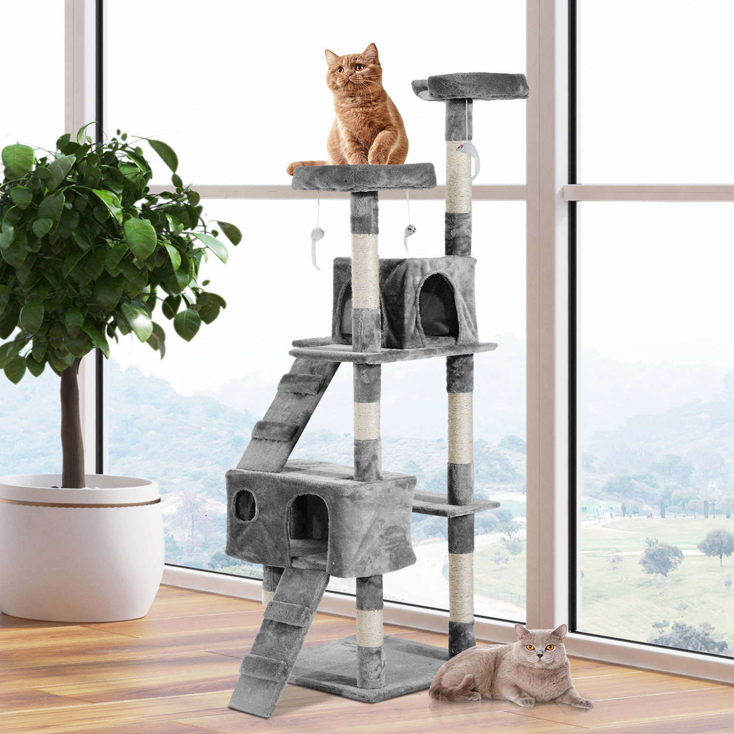 cat scratching tree