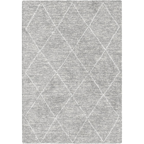 Maubara Shaggy Grey Rug Brayden Studio Rug Size: Rectangle 120 x 170cm