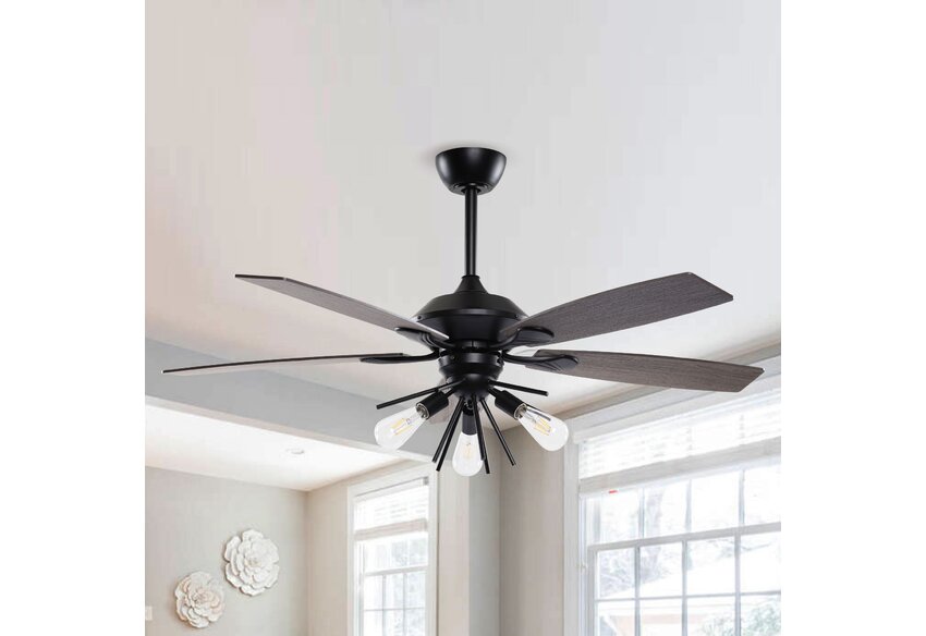 Decorative Fans For The Ceiling       / Buy Relaxo Lighting Ceiling Fans 6 Blades 600 Mm Designer Ceiling Fan With Remote And Led Light Rosewood Online At Low Prices In India Amazon In / Starfish or sand dollar image on blue, cobalt or sage green.