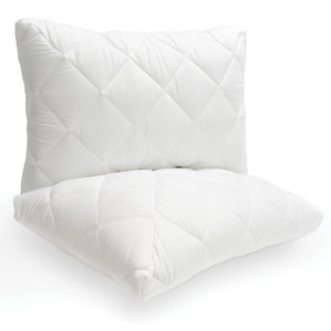 Pure Sleep Smooth Top Probiotic Quilted Pillow by Alwyn Home