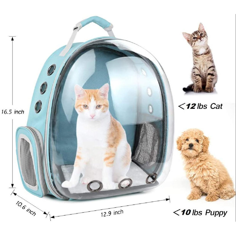 backpack to put cat in